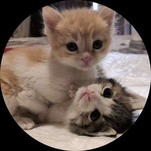 Meet your Posher, Zandra